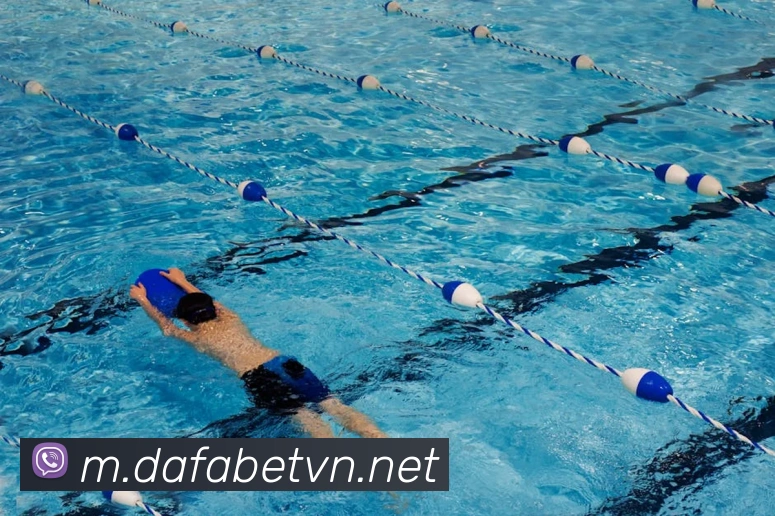 大发彩票官网发展历程